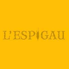 Image actu
