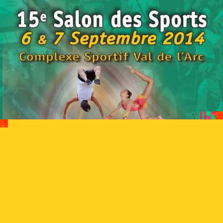 15ème salon des sports Aix-en-Provence 2014