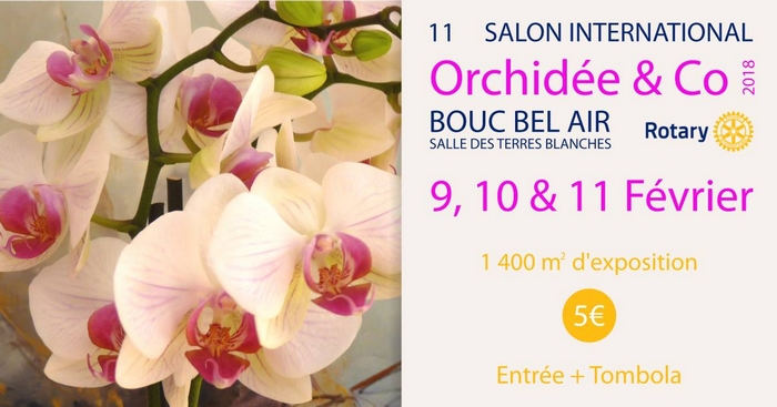 Salon Orchidée 2018 Bouc Bel Air