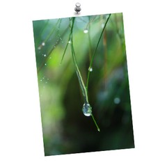 Image actu