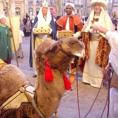 Marche des Rois