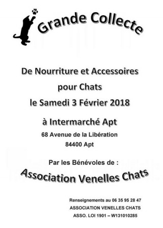 Venelles chats